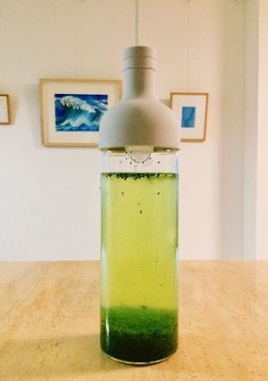 *冷たくてスッキリ!水出し緑茶*-レシピのメイン写真