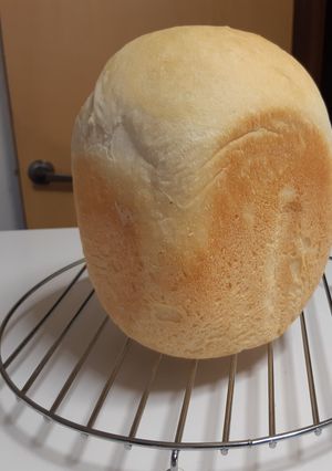 ホシノ天然酵母　食パン★-レシピのメイン写真