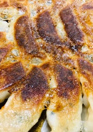 冷凍餃子で、餃子を丸く焼く方法-レシピのメイン写真