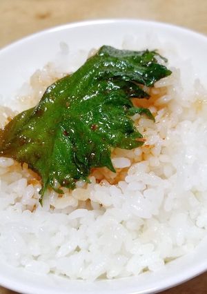 大葉のケッパリ（にんにく醤油漬け）-レシピのメイン写真