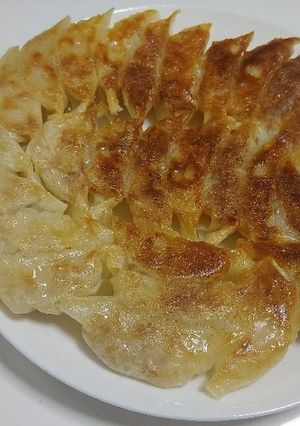 ツナと玉ねぎマヨ餃子-レシピのメイン写真