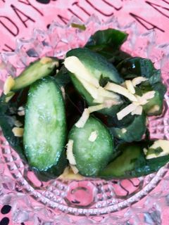 味付け昆布茶のみ♡きゅうりの浅漬け-レシピのメイン写真