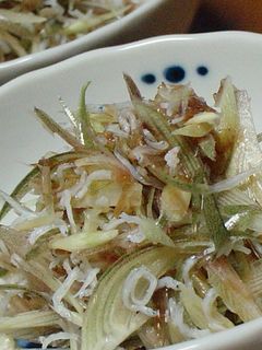 みょうがのしらすポン-レシピのメイン写真