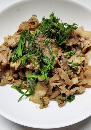 豚肉のシソネギだれ♪-レシピのメイン写真