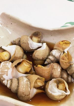 簡単！ばい貝の煮物風-レシピのメイン写真
