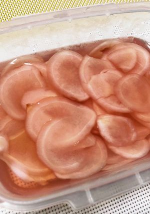 新生姜の甘酢漬け-レシピのメイン写真