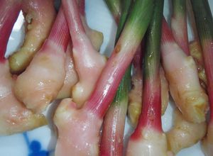 お酢だけです♪私好みの谷中生姜♪」-レシピのメイン写真