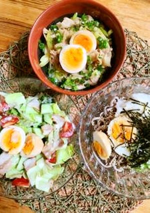 煮卵で麺・丼・サラダ-レシピのメイン写真