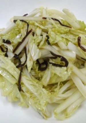 白菜と塩昆布のサラダ-レシピのメイン写真