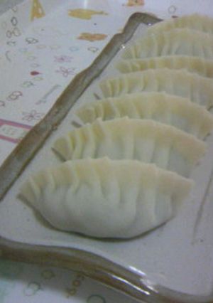 におわない!あっさりこくあり餃子-レシピのメイン写真