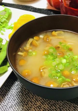 ほっとする簡単なめこと豆腐のお味噌汁-レシピのメイン写真