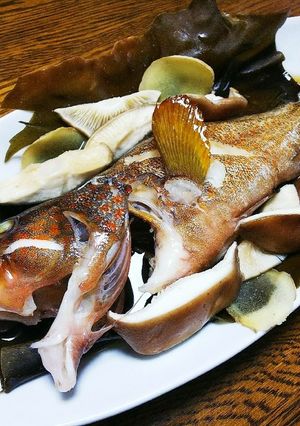 アコウ（白身魚）の酒蒸し-レシピのメイン写真
