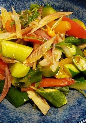 鳥モモ肉と夏野菜のサラダ-レシピのメイン写真