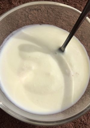 材料3つで放置*塩麹豆乳ヨーグルト-レシピのメイン写真