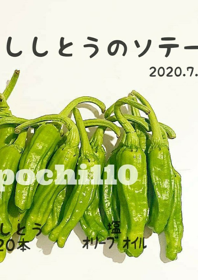 ししとうのソテー-レシピのメイン写真