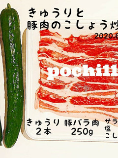 きゅうりと豚肉のこしょう炒め-レシピのメイン写真