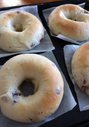 クランベリーベーグル-レシピのメイン写真