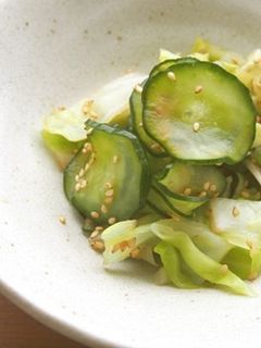 キャベツと胡瓜のごまあえ♪酢が決め手♪-レシピのメイン写真