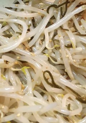 もやしの塩昆布和え-レシピのメイン写真