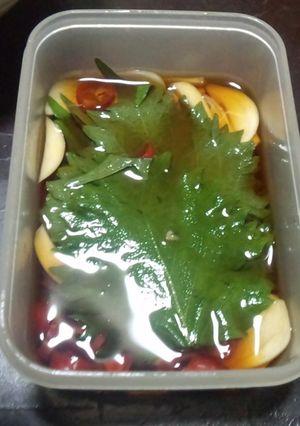 シソの葉の麺つゆ漬け-レシピのメイン写真