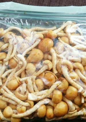 株なめこの長期保存-レシピのメイン写真