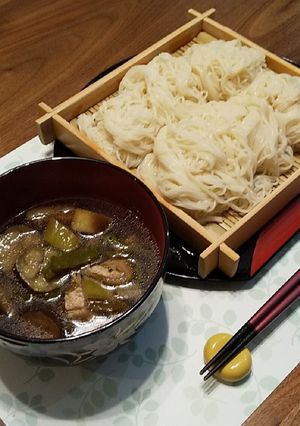 夏野菜❁ 茄子とピーマンのつけ汁-レシピのメイン写真