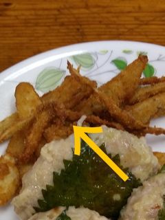 ゴボウのからあげ-レシピのメイン写真