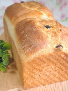 レーズン食パン-レシピのメイン写真