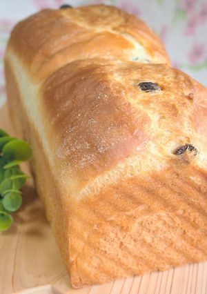 レーズン食パン-レシピのメイン写真