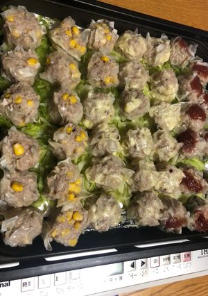 ホットプレートでいろいろ焼売-レシピのメイン写真