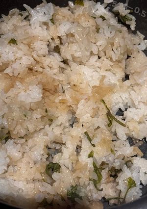 コシアブラ（シラキ）ご飯-レシピのメイン写真