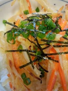 2種類の野菜でも豪華♪かき揚げ丼-レシピのメイン写真