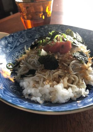 火を使わないランチ　しらす丼-レシピのメイン写真