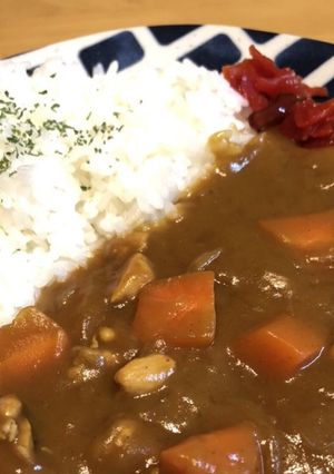 じゃがいも入れないお家カレー☆-レシピのメイン写真