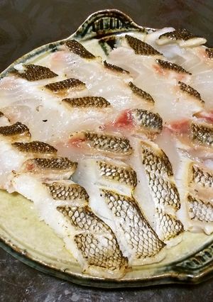イサギ（イサキ）の炙り-レシピのメイン写真