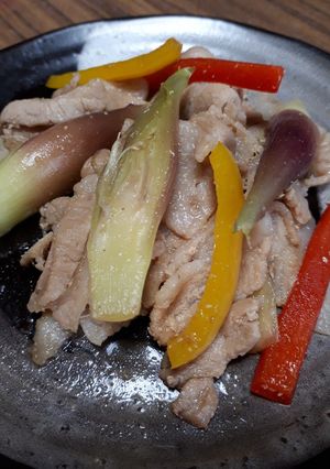 みょうがの肉炒め-レシピのメイン写真