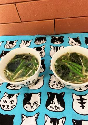 肉類の煮汁を捨てずにもう一品♡美味スープ-レシピのメイン写真