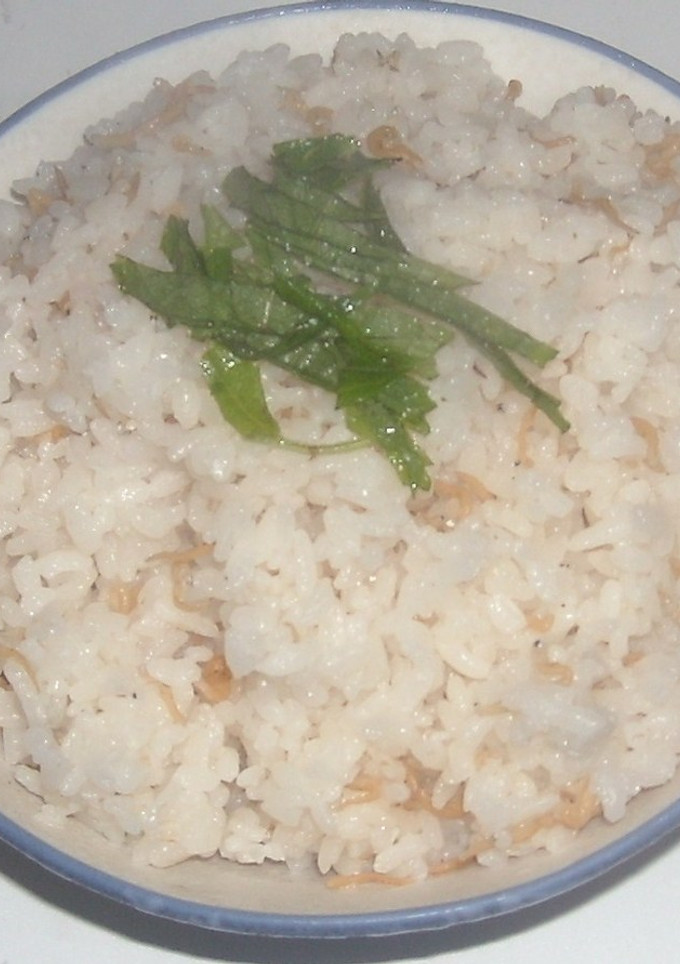ちりめん佃煮の炊き込みご飯-レシピのメイン写真
