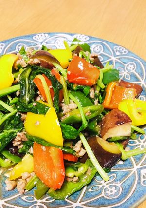 夏野菜のひき肉味噌炒め-レシピのメイン写真