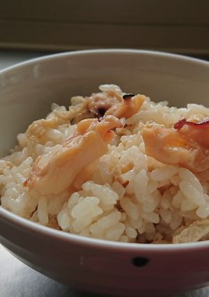 レンチン簡単タコ混ぜご飯-レシピのメイン写真