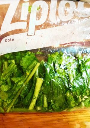 冷凍ストック☆蕪の葉っぱの冷凍保存-レシピのメイン写真