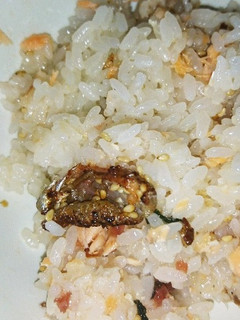塩鮭のさっぱり、おかわり❕おこわ(^^)-レシピのメイン写真