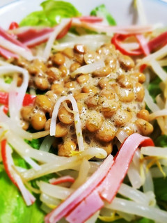 梅しそ納豆サラダ-レシピのメイン写真