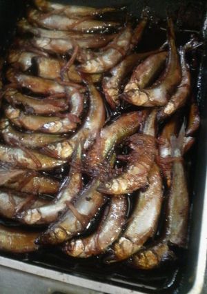 小鮎の甘露煮-糖尿高血圧でもおいしくね-レシピのメイン写真