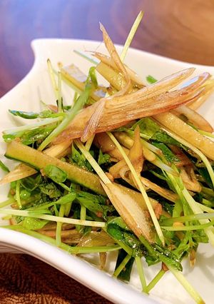 豆苗の薬味サラダ-レシピのメイン写真