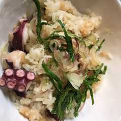 รูปของ 簡単　たこご飯