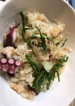 簡単　たこご飯-レシピのメイン写真