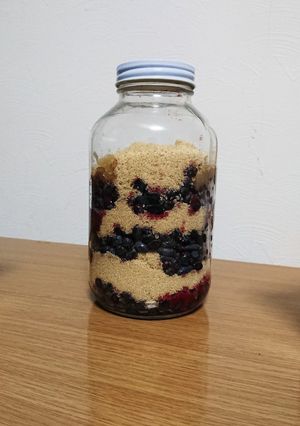 ハスカップシロップ-レシピのメイン写真