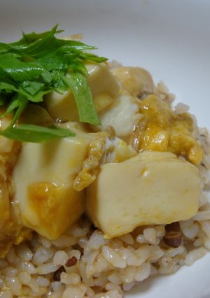 .。+とろりん卵の豆腐丼+。.-レシピのメイン写真
