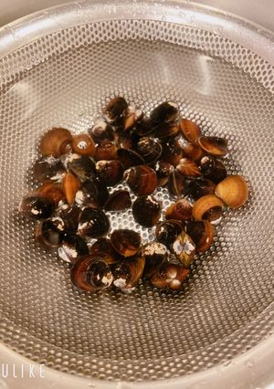 穴道湖産しじみの砂抜き-レシピのメイン写真